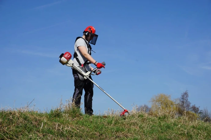 Limpieza eficiente de maleza bajo árboles frutales en Santo Domingo con desmalezadora profesional maruyama