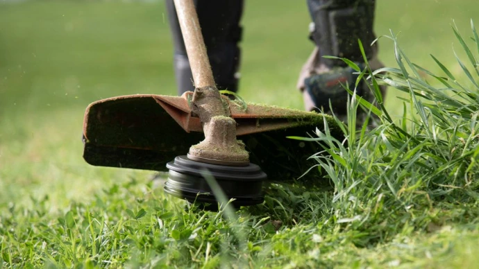 Técnica de corte al ras para control de maleza blanda en bordes de cercas con motoguadaña