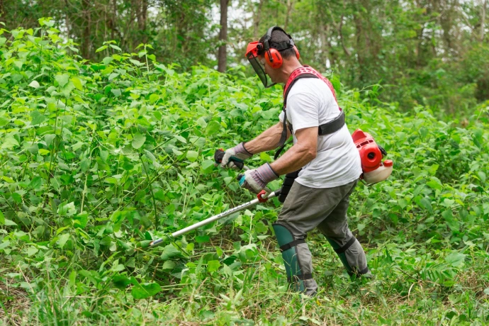 Operador usando desmalezadora Stihl FS 280 para limpieza de potreros con maleza tupida