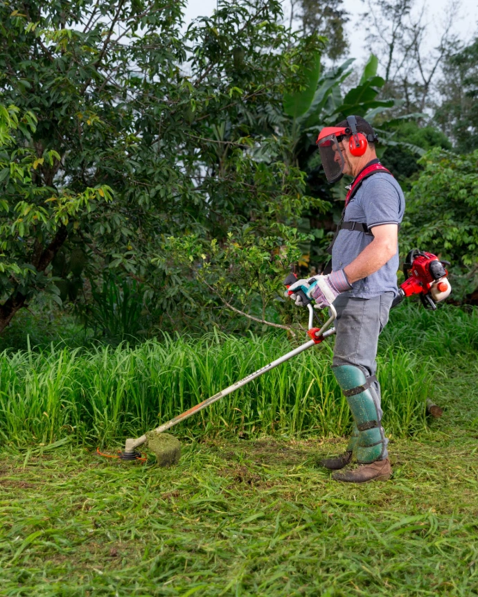 Mantenimiento profesional de fincas en Santo Domingo con desmalezadora de alto rendimiento