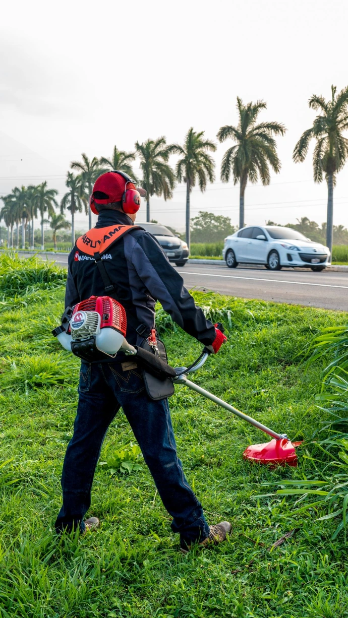 Control de maleza en pastizales de fincas ganaderas en Ecuador con desmalezadora casamoto