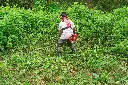 B530 _5.webp
