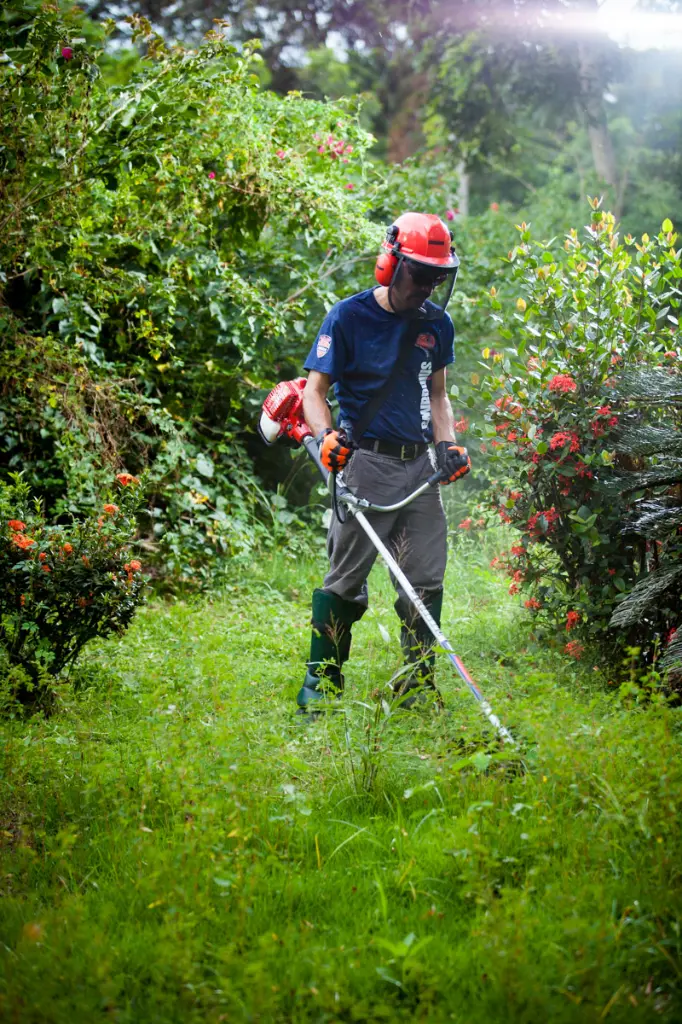 Shindaiwa_Bruscutters_DR_2016 (12).webp