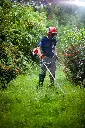 Shindaiwa_Bruscutters_DR_2016 (12).webp