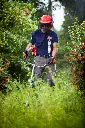 Shindaiwa_Bruscutters_DR_2016 (8).webp