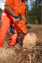 Chain_Saw_Action_(s)[1].webp