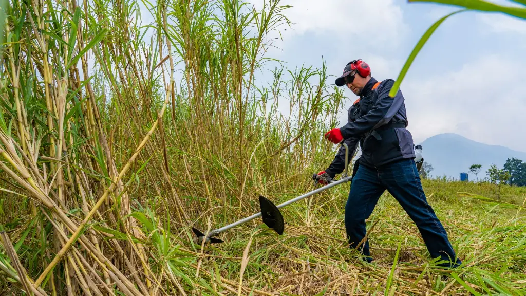 B420H GUATEMALA (7).webp