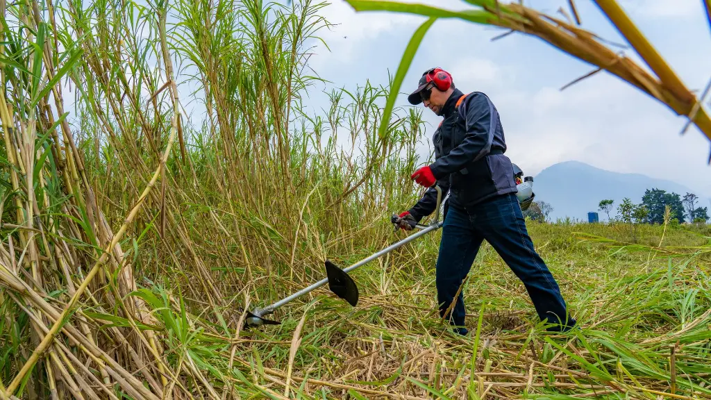 B420H GUATEMALA (6).webp