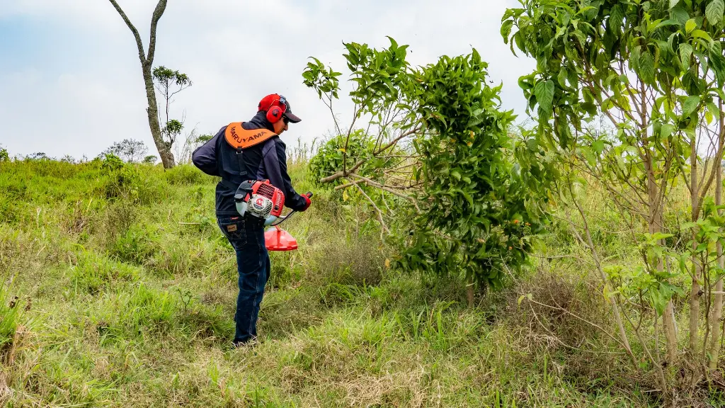 B50R GUATEMALA (4).webp