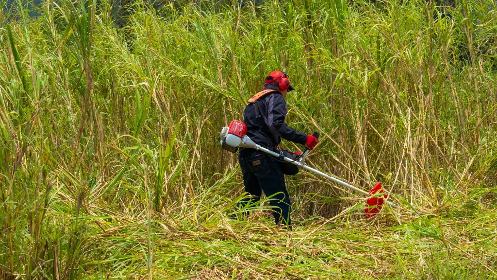 B50R GUATEMALA (2).webp