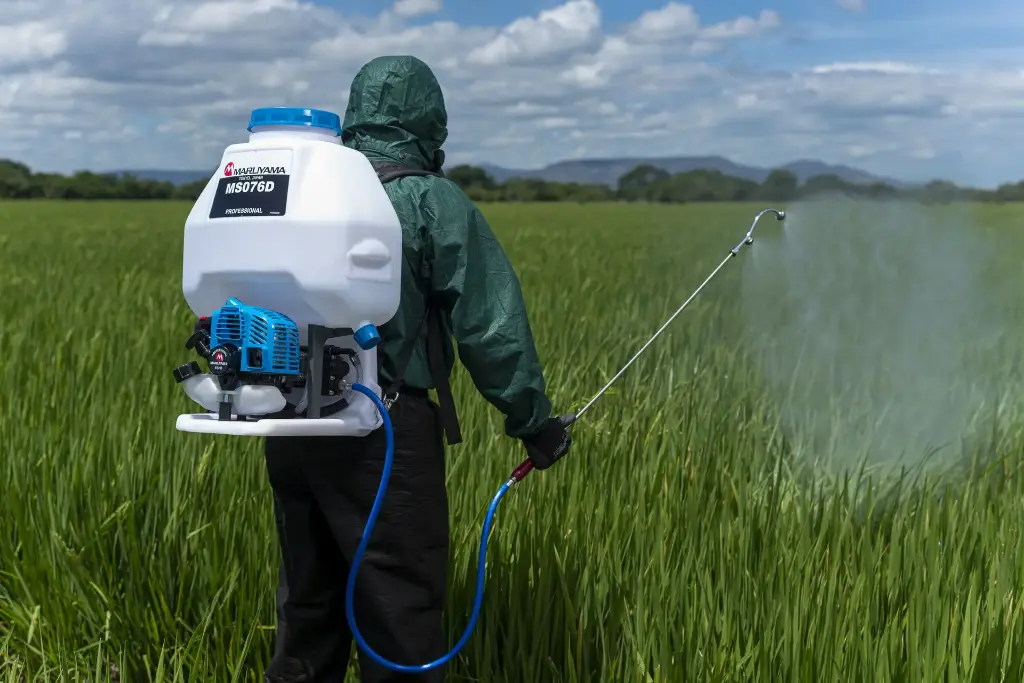 MS076D Rice (13).webp