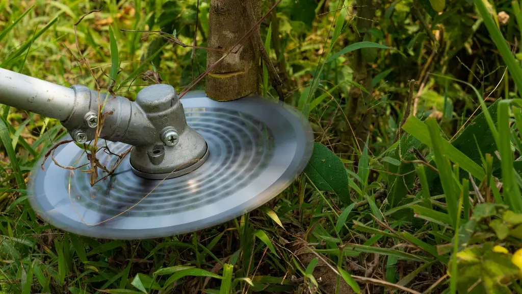 B43, B43R, B50R (2).webp