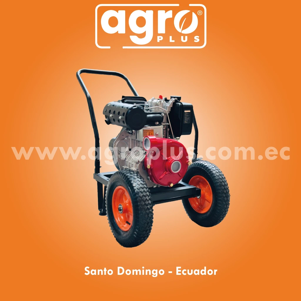 MOTOBOMBA PRESION 2" DIESEL CASAMOTO 10HP