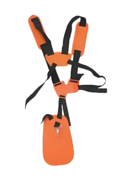 ARNES CASAMOTO ECONOMICO